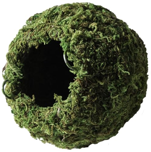 Galápagos (05346) Mossy Cave Hide, 4", Green - size: 4"