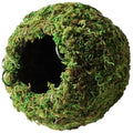Galápagos (05346) Mossy Cave Hide, 4", Green - size: 4"