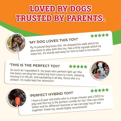 Baba Buddies 5-in-1 Turkey Leg Dog Chew Toy for Aggressive Chewers | Natural rubber & tough nylon hybrid, dental cleaning ridges, real turkey flavor. For Labrador, German Shepherd, Pit Bull