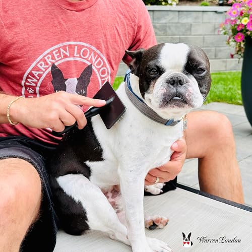 Warren London Gentle Touch Slicker Brush for Puppies & Small Dogs - style: Gentle Touch Puppy Brush Small