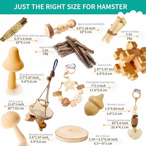 13 PCs Hamster Toys for Hamster, Gerbils, Mice, Rats, and Other Small Animals - Natural Molar Chew & Play Toys to Induce Teeth Grinding, Reduce Boredom and Depression - style: Style-C