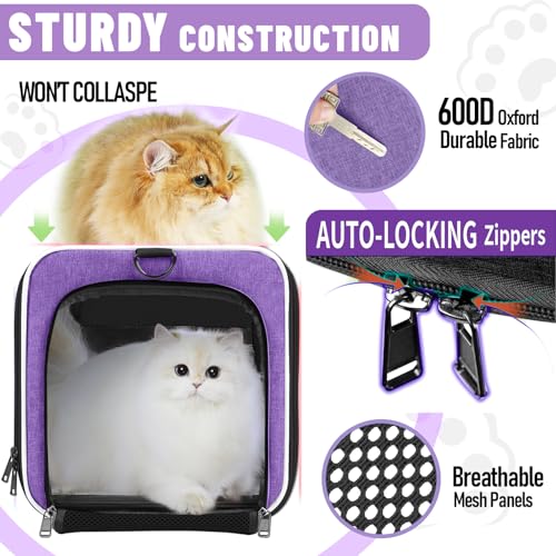 GAPZER Large Cat Carrier Soft, Collapsible Travel Pet Carry Bag, Small Dogs | Large Cats up to 20 lbs+ Maine Coon, Top Load Transport Small Puppy Dog Crate, Chihuahua Mini Dog 10lbs, Sturdy Fabric Pueple - color: Purple