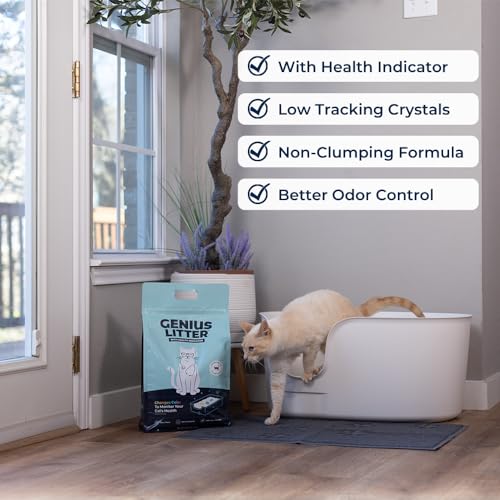 Genius Litter Health Monitoring Cat Litter, Featured on Shark Tank, Lightweight Crystal Silica Gel, Non Clumping, Dust Free, Low Tracking, Odor Control for Indoor Cats and Kittens, 6 lb Bag - size: 1 Bag (6lb)