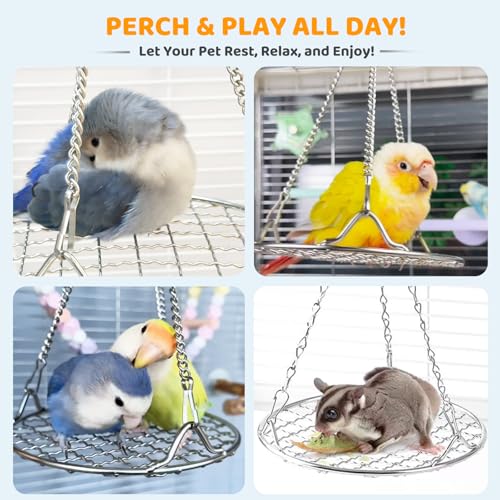 Bird Swing Perch Stainless Steel, Toy for Small Animal Parakeet Cockatiels Conures, Hanging Bird Cage Accessories to Balance Training for Budgies, Parrotlets, Rats, Hamsters, Sugar Gliders