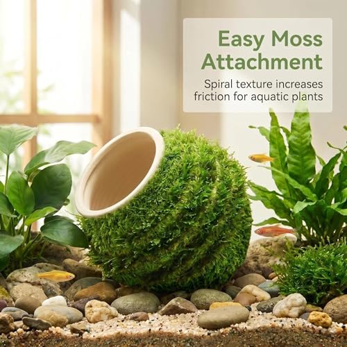 SpringSmart Aquarium Decor Rock Betta Fish Tank Decorations Ceramic Hideout Stone for Fish Shrimp Turtle Crab to Breed, Rest and Play, Small Fish Bowl Hiding Cave, Pot Shaped Betta Toys - size: TG