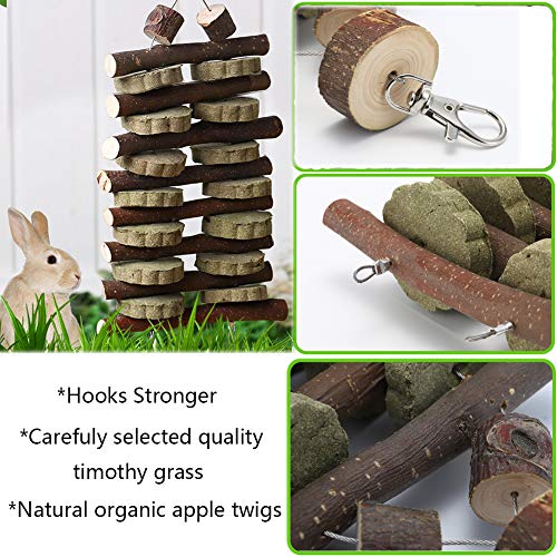 Hamiledyi Bunny Chew Toy for Teeth,Guinea Pig Natural Organic Fruitwood Sticks with Grass Cake for Rabbits,Chinchillas,Gerbils, Squirrels, Hamsters, Chewing/Improve Dental Health - style: Style E
