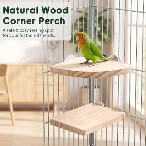 2Pcs Flat Bird Perches for Cage Parakeet Platform Stand | Bird Cage Perch Fan Shape and Rectangle Birds Cage Platform Parakeet Cage Accessories Exercise Toy for Bird Parrots Cockatiel