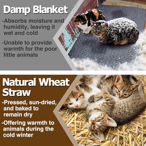 Acostop Natural Dry Wheat Straw for Garden Mulch Stray Cats Dogs Shelter | 3 LB Clean Soft Warm Chicken Coop Yard Farm Pets Bedding, Decorative Straw Bale, Landscaping Weed Cover - size: 3 LB