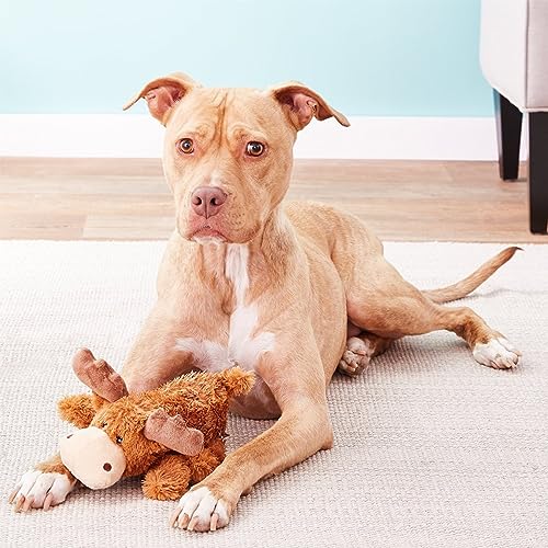 Kong Cozie Marvin Moose Plush Dog Toy, for Medium Dogs | Soft Indoor Cuddle Plush Toy with a Squeaker & Minimal Stuffing, Great for Snuggling & Gentle Indoor Play - size: Medium, style: Marvin the Moose