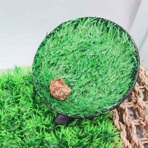 Hermit Crab Climbing Toys, Hamster Wheel, Reptile Tank Accessories, Hermit Crab Supplies, Running Wheel Toys