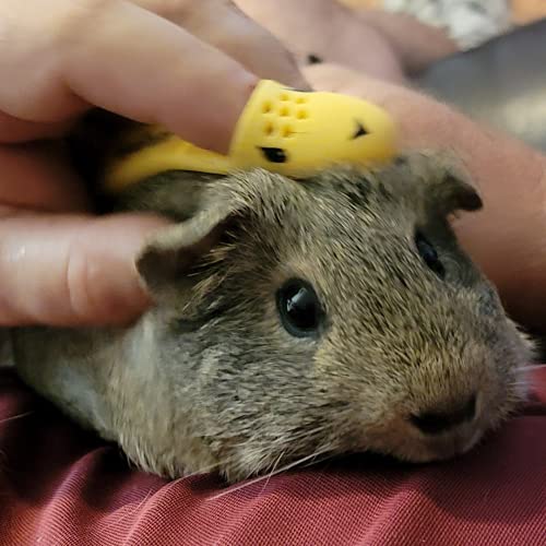 HuggleBrush Original Yellow Guinea Pig Brush, Rabbit Small Pet Grooming, De-shedding, Bonding