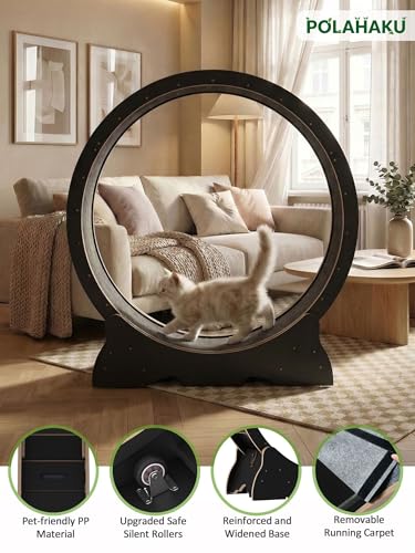 Cat Wheel for Indoor Cats, 48 Inch Diameter Exercise Running Wheel | Enhanced Base, Safety Lock, Quiet, For Cat's Longer Life Fitness, Wide Surface, Low-Entry Design, Easy Assembly, Natural Wood - color: Black