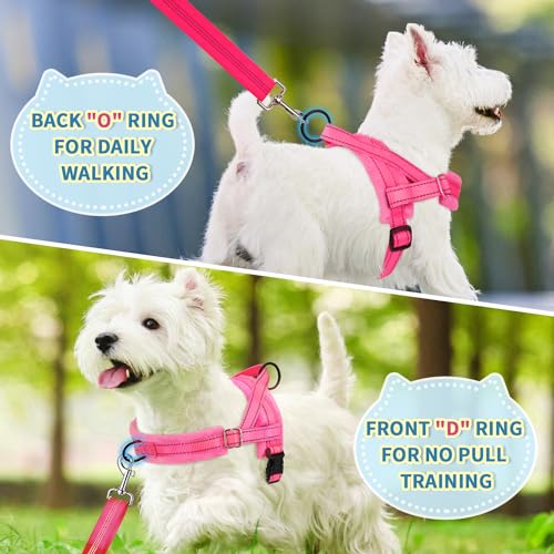 Lukovee Small Dog Harness and Leash Set, No Pull Soft Padded Vest | Both Neck & Chest Adjustable, Reflective, Puppy Harness with 4ft Lightweight Anti-Twist Dog Leash for Small Dogs (Pink, S) - color: B-pink, size: S ( Chest 17.5'' ~ 22'')