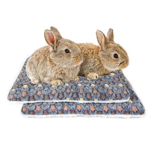 Amakunft 2 Pcs Guinea Pig Bed Mat Washable, Rabbit Winter Bed Pad for Indoor, Warm Small Animal Bed Mattres, Fleece Sleeping Pad for Bunny, Rat, Hedgehog, Sugar Glider, Chinchilla - size: Large