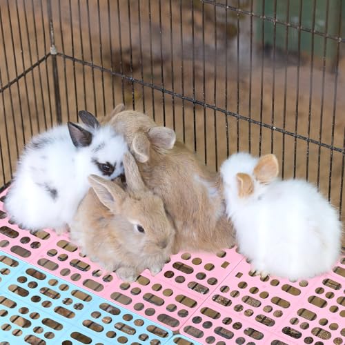 6 Pack Pet Cage Mats 13.3"x9.8" Plastic Leak-Proof Floor Pads with Buckle (Blue/Pink/White) for Rabbits, Guinea Pigs Small Animals