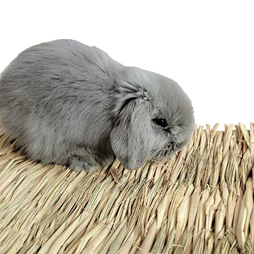Hamiledyi Grass Mat Woven Bed Mat for Small Animal Bunny Bedding Nest Chew Toy Bed Play Toy for Guinea Pig Parrot Rabbit Hamster Rat(Pack of 3)