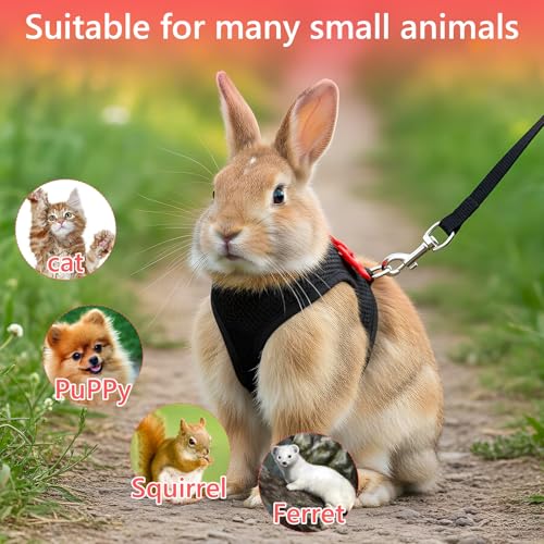 Rabbit Leash and Harness, Easily Adjustable Rabbit Harness and Leash Set for Small Animals, Rabbits Harness and Leashes for Proof Safely Walking Cute Bow Vest and Leashes, Black, Small