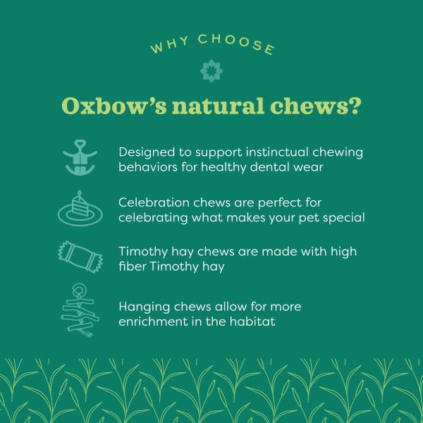 Oxbow Enriched Life Loco Ball. Small animal enrichment toy - style: Loco Ball