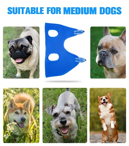 Kkiimatt Pet Dog Grooming Hammock Harness, Dog Nail Hammock, Hanging Harness Nail Trimming,Grooming Sling Holder Helper for Clipping/Cutting,Hanger Restraint Bag with Nail Trimmer. - color: Blue, size: L/Under 56 lb