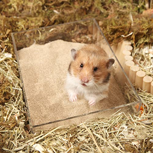 BUCATSTATE Hamster Sand, No-Dust 3.3LB Chinchilla Dust Bath with Pour Spout, 100% Natural Desert Bathing Sand for Syrian Hamster Gerbil Rat Mice Small Animals (Fine Sand) - color: Fine Sand, size: 3.3LB