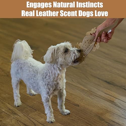 SPOT Skinneeez Leather Lizard – 15" Stuffing-Free Dog Toy with Real Leather & 2 Squeakers, Chew & Toss Toy for Small & Medium Dogs, Best for Light to Moderate Chewers - size: 15 Inch