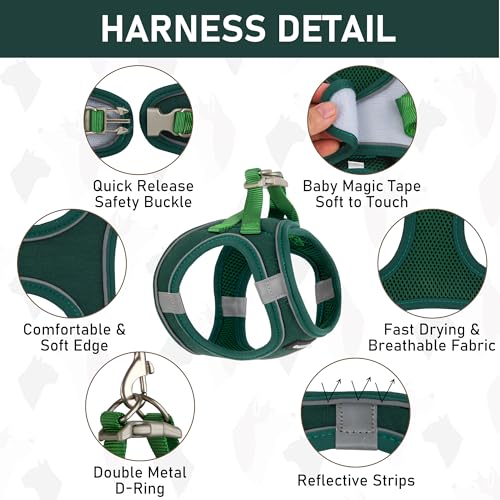 GAMUDA Small Pet Harness Collar and Leash Set, Step in No Chock No Pull Linen Fabric Soft Mesh Dog Vest Harnesses Reflective for Dogs Puppy Cats Kitten Rabbit (Green, S) - color: Green, size: Small