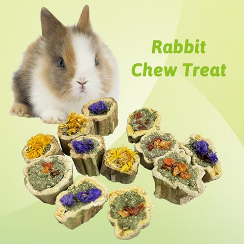 BNOSDM Hamster Chew Treats Chinchilla Natural Petal Snacks Rabbit Papaya Toys for Teeth for Guinea Pigs Syrian Dwarf Hamsters Gerbils Mice, (3.52oz/100g),1PCS - color: Natural Petal - 1 Pack