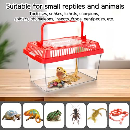 12Pcs Plastic Reptile Terrariums Carrier Cage, Tarantula Enclosure Snake Breeding Box Hatching Container Transparent Fish Tank Turtle Aquarium with Random Color Lid for Lizards, L(8.7" x 5.5" x 5.9") - size: L