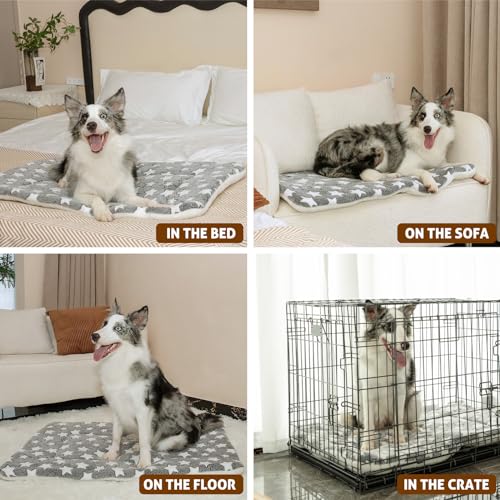 Mora Pets Dog Bed Crate Pad Ultra Soft Pet Bed with Cute Star Print Washable Crate Mat for Large Medium Small Dogs Reversible Fleece Dog Crate Kennel Mat Cat Bed Liner 22-Inch Grey - color: Grey, size: 22-Inch