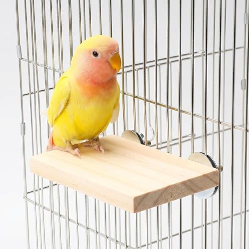 2Pcs Solid Wood Parrot Stand and Small Animal Climbing Platform