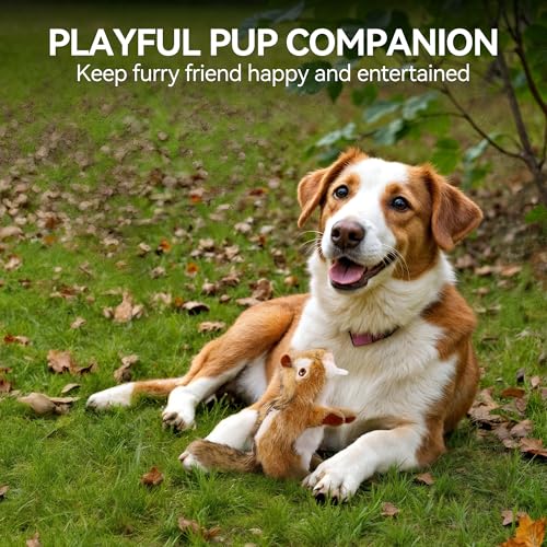 ALL FOR PAWS Squeaky Dog Toys, Plush Dog Toy, Stuffed Animal Dog Toys for Small Medium Large Dogs, Soft Chipmunk Toy with Squeaker - color: Chipmunk(S)