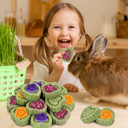 20PCS Bunny Chew Toys for Bunny's Teeth Organic Timothy Hay Cakes | Rabbit Toys for Bunny's Teeth, Rabbits, Chinchilla, Hamster, Guinea Pig Reliable Rabbit Chew Toys for Teeth