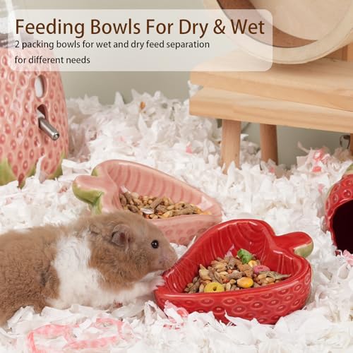 2 Packs Strawberry Ceramic Hamtser Food Bowls Wet&Dry Use(Pink+Red) | Easy to Clean Smooth-Surface Safe Durable-Ceramic Feeding Dish for Small Animals Gerbil Dwarf Hamster Rat Mice Guinea Pig - color: Pink and Red