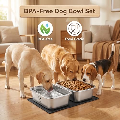 2 Pack Stainless Steel Dog Bowls for Large Dogs with Non-Slip Mat, High Capacity Metal Dog Food Bowls, Food and Water Bowl for Larges, X-Large, and Big Dogs 1.25 Gallons - size: 2Pack- 1.25 Gal with Mat