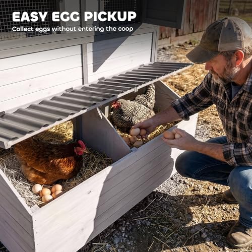 PawHut 147" Extra Large Chicken Coop Wooden Hen House for 8-10 Hens Gray | Outdoor Poultry Hutch with Run, Removable Tray, Nesting Box, Ramp for Duck Rabbit, Ventilated Windows