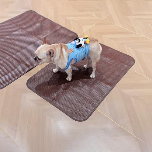 Cooling Mat for Medium Dogs, 38"x26", M | Chew-Resistant & Non-Slip, Cool-to-Touch, Easy Clean, Foldable & Portable for Indoor Outdoor Crate Car Use - size: M 26"x38"