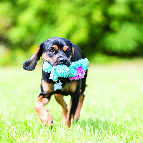 Kong Cozie Ali Alligator Plush Dog Toy, for Small Dogs | Soft Indoor Cuddle Plush Toy with a Squeaker & Minimal Stuffing, Great for Snuggling & Gentle Indoor Play - size: Small, style: Ali the Alligator