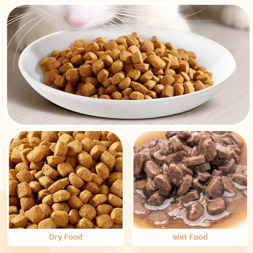 Ceramic Cat Food Plates: Cat Wet Food Bowls/Whisker Fatigue Cat Dishes & Shallow Bowls for Kittens and Small Animals | For wet/dry food; fits kittens, rabbits, hamsters; microwave & dishwasher safe; stable fishbone design - color: Fish bone