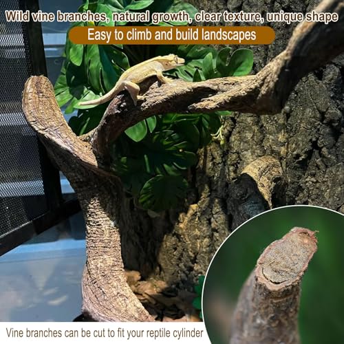 Reptile Decor 3PCS Natural Forest Branch Terrarium Habitat Decoration Lizard Climbing Tree Branch for Bearded Dragon Gecko Snake Frog Chameleon Spider