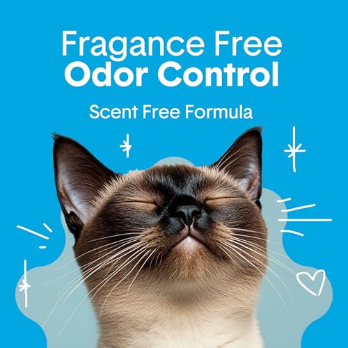 Boxie Premium Unscented Clumping Cat Litter 30 Day Odour Control 40 lb - size: 40 lb