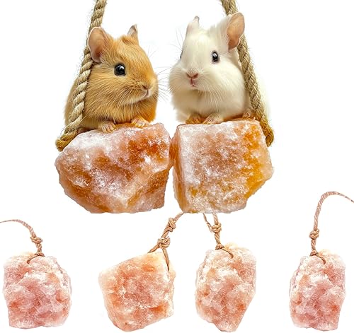 Himalayan Small Pets Salt Lick - 6 Count Natural Mineral Salt Chew Toys with Rope - Treats for Guinea Pig Rabbits Bunny Ferrets