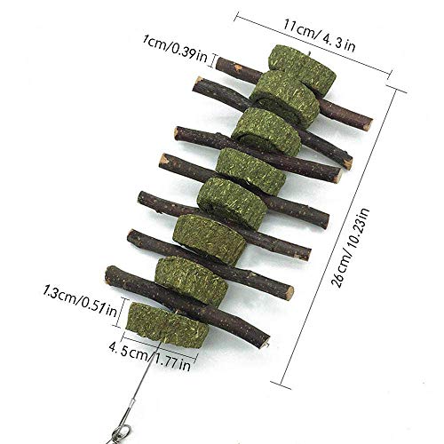 Bunny Chew Toys for Teeth, 2 PCS Organic Apple Wood Molar Sticks with Timothy Hay Circles for Bunny Chinchilla Guinea Pig Hamsters Holland Lop Prairie Dogs Squirrels, Improves Dental Health - color: 2 PCS Apple Stick String