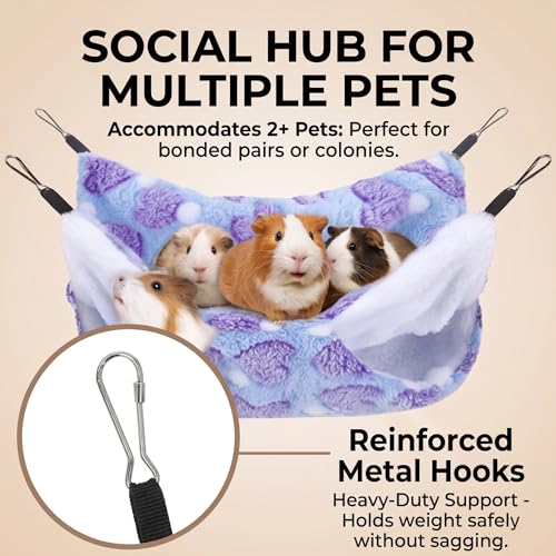 2 Pack Large 13.8x13.8in Rat Hammock for cage, Cozy Ferret Bed and Plush Hamster Hideout, Reliable Guinea Pig Accessories for cage, Great Small Animal beds,Purple, Coffee (Purple, Coffee) - color: Purple, Coffee