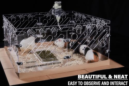 Acrylic Guinea Pig Cages - 2x2ft Small Animal Cage | DIY Extendable | Easy-to-Clean Disposable Bottom (Without Lid) - color: 2x2 ft Cage
