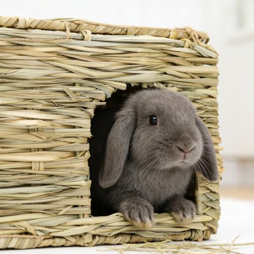 2 Pack 14.6"×10.2"×9" Foldable Large Grass Bunny House for Small Animals | Rabbit Hut Hideaway Bed with Hay Mat & Chew Toy, Fits Guinea Pigs, Hamsters & Small Animals