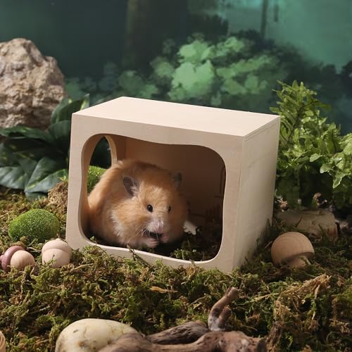 Hamster Hideout Wooden House Chamber Small Animals Pets Tunnel Exploring Toys Secret Peep Shed for Dwarf Hamsters, Syrian Hamsters, Gerbils, Hedgehogs, Rats, Mice (Study Room)