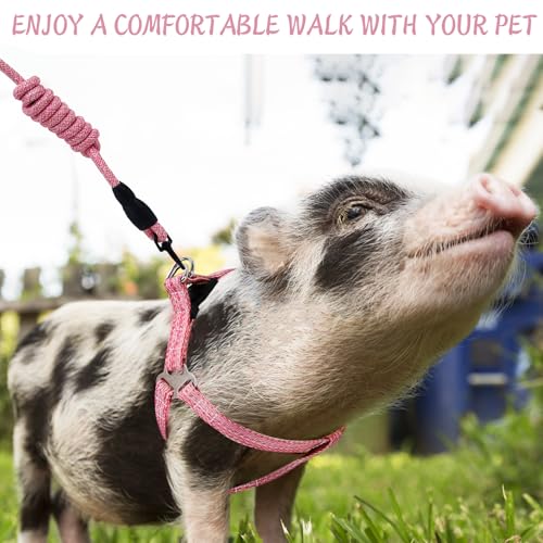 YeeBeny Mini Pig Harness Adjustable with Leash Foam Handle Pink, M | Adjustable Small Pig Harness with Leash Infinity Style Lead and Soft Foam Handle for Walking Training Jogging - color: Pink, size: M