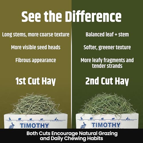 High Desert 2nd Cutting Timothy Hay for Rabbits, Guinea Pigs, 14 oz | Soft Leafy Texture With Balanced Fiber, Supports Healthy Digestion, Great For Chinchillas, Hand Packed in the USA, Low Dust - size: 14 Ounce (Pack of 1)