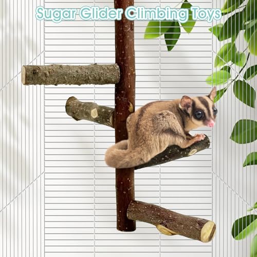 Sugar Glider Toy Natural Fruitwood Perch Stand Squirrel Hanging Wooden Climbing Pole Hamster Paw Grinding Perch Small Animal Cage Accessories for Chinchillas Rats Gerbil - color: Applewood - Climbing Perch