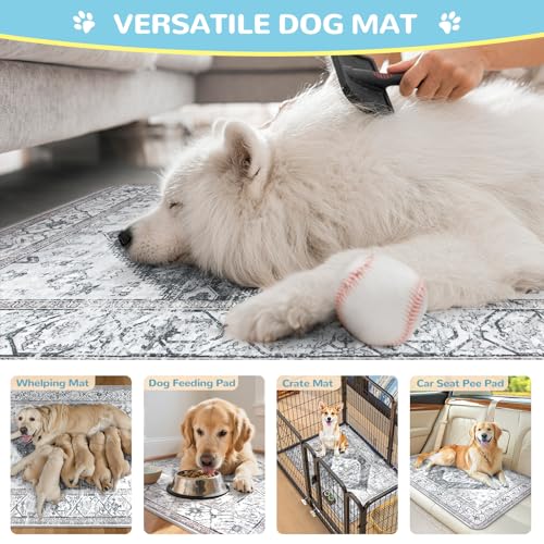 Lahome Super Absorbent & Leakproof Washable Dog Pee Pads - 2 Pack Value Set - Waterproof, Non-Slip Reusable Pads for Puppy Training, Crates & Whelping (24"x24", Gray) - color: Gray, size: 2FT x 2FT (Pack of 2)